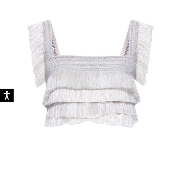 PatBO Metallic Fringe Skirt and Top Set - Size 4 - $1675 Retail! - Picture 6 of 11